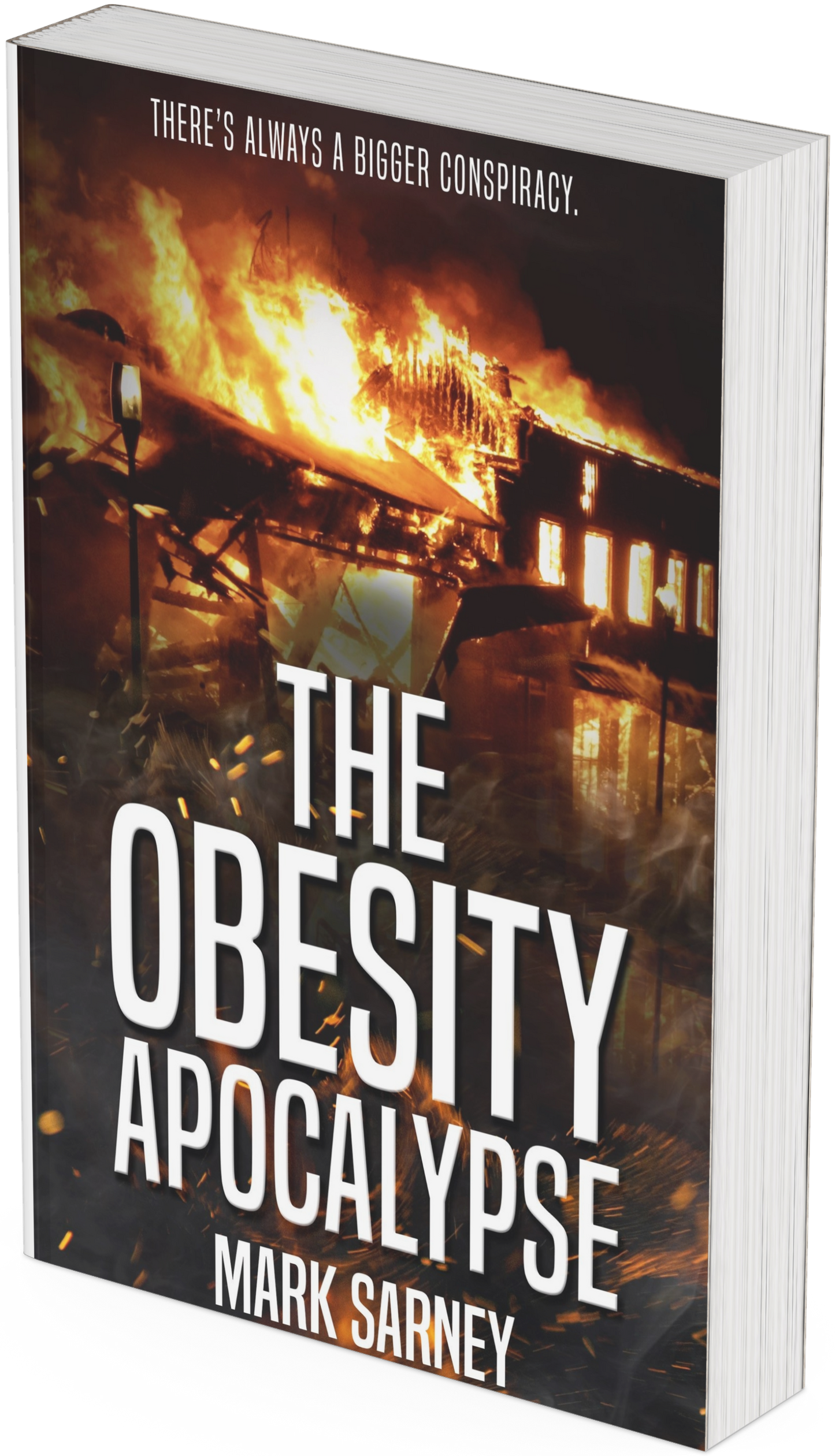 The Obesity Apocalypse (paperback)